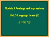 外研版八年級(jí)英語下冊(cè) Module1 Uni3 Language in use (1)（PPT課件）
