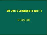 外研版八年级英语下册 Module3 Unit3 Language in use (1)（PPT课件）