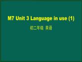 外研版八年级英语下册 Module7 Unit3 Language in use(1)（PPT课件）