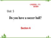 Unit 5 Section A-2021-2022学年七年级 上册 同步教学课件（人教版）