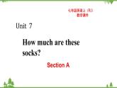 Unit 7 Section A-2021-2022学年七年级 上册 同步教学课件（人教版）