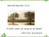 Unit 6 Topic 2 Section D-2020-2021學(xué)年九年級(jí)英語下學(xué)期 同步教學(xué)課件（仁愛版）