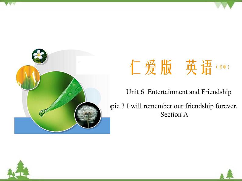 Unit 6 Topic 3 Section A-2020-2021学年九年级英语下学期 同步教学课件（仁爱版）01