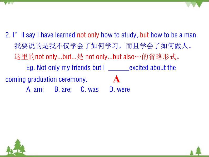 Unit 6 Topic 3 Section A-2020-2021学年九年级英语下学期 同步教学课件（仁爱版）08