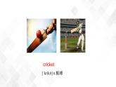 Unit 1 Topic 2 Section D-八年級英語上冊  同步課件+練習