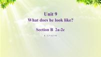 初中英语人教新目标 (Go for it) 版七年级下册Unit 9 What does he look like?Section B备课课件ppt