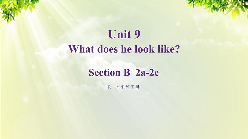 1人教版七年级英语下册 unit9 section B 2a-2c第1页