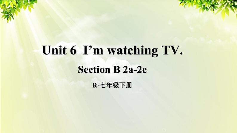 1人教版七年级英语下册 unit6 section B 2a-2c第1页