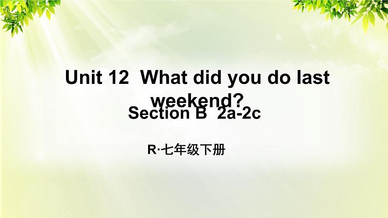 1人教版七年级英语下册 unit12 section B 2a-2c第1页