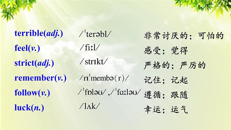 人教版七年级英语下册 unit4 section B 2a-2c 课件03