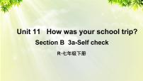 初中英语人教新目标 (Go for it) 版七年级下册Section B课文内容ppt课件