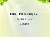 人教版七年级英语下册 unit6 section B 1a-1e 课件