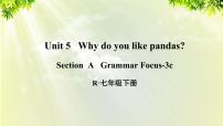 初中英语人教新目标 (Go for it) 版七年级下册Section A教案配套课件ppt