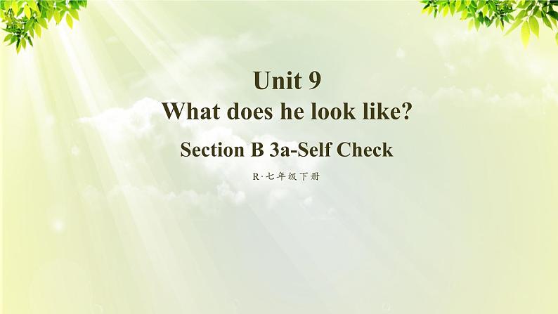 人教版七年级英语下册 unit9 section B 3a-self check 课件01