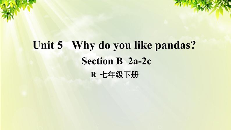 1人教版七年级英语下册 unit5 section B 2a-2c第1页