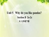 人教版七年级英语下册 unit5 section B 2a-2c 课件