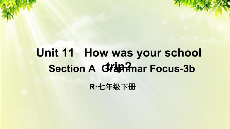 人教版七年级英语下册 unit11 section A Grammar Focus-3b 课件01