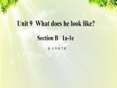 人教版七年级英语下册 unit9 section B 1a-1e 课件