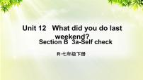 初中英语人教新目标 (Go for it) 版七年级下册Unit 12 What did you do last weekend?Section B教课内容课件ppt