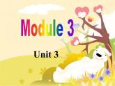 2020-2021学年外研版英语七年级下册Module 4 Unit 3课件 (2)