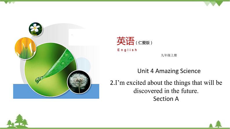 11.1 Unit 4 Topic 2 Section A   九年级英语上学期 同步教学课件（仁爱版）01