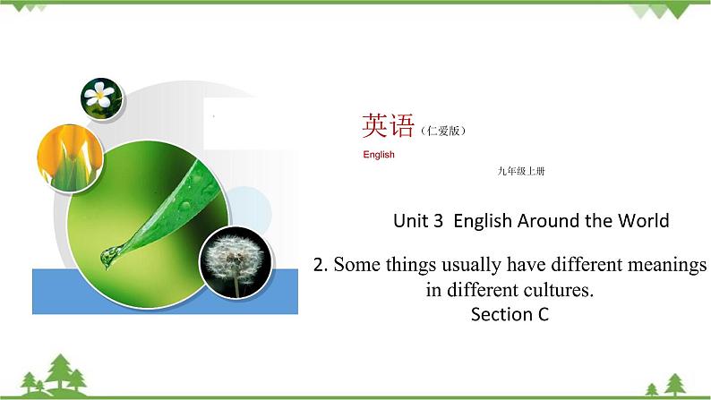 8.3 Unit 3 Topic 2 Section C   九年级英语上学期 同步教学课件（仁爱版）01