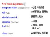 Module 5 Unit 2 Tintin has been popular for over eighty years 优质教学课件PPT
