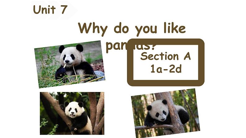 Why do you like pandas_ Section A 1a-2d课件（PPT33张含音频）01
