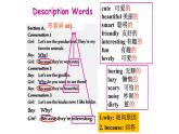 Why do you like pandas_ Section A 1a-2d课件（PPT33张含音频）