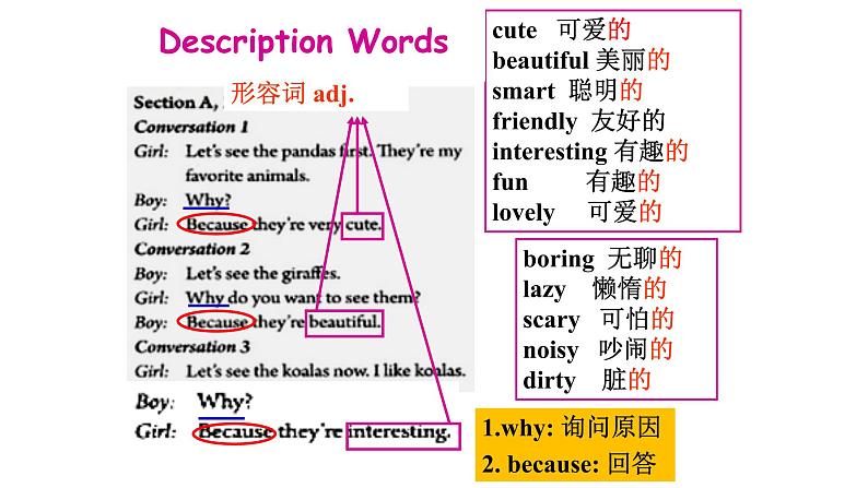 Why do you like pandas_ Section A 1a-2d课件（PPT33张含音频）05