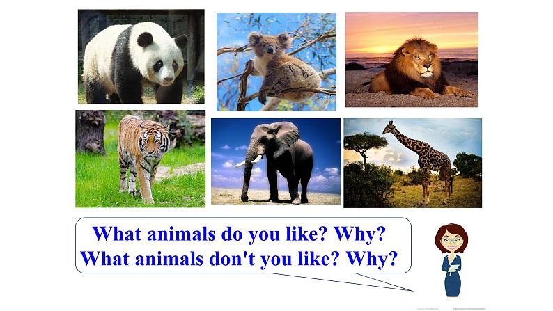 Why do you like pandas_ Section A 1a-2d课件（PPT33张含音频）07