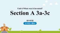 人教新目标 (Go for it) 版九年级全册Section A课文内容课件ppt