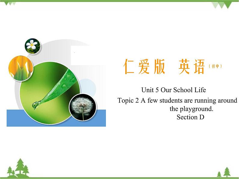 2.4 Unit 5 Topic 2 Section D（课件）第1页