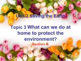 仁爱科普版初中英语九年级上册 Unit 2 Topic 3 Section B 课件