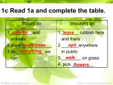 仁爱科普版初中英语九年级上册 Unit 2 Topic 2 Section B 课件