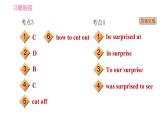 外研版九年级上册英语课件 Module 10 易错考点专练