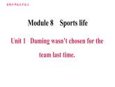 外研版九年級(jí)上冊(cè)英語(yǔ)課件 Module 8 Unit 1 Daming wasn't chosen for the team last time