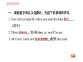 外研版九年級(jí)上冊(cè)英語(yǔ)課件 Module 11 Unit 2 The photo which we liked best was taken by Zhao Min