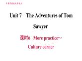 牛津 版九年级上册英语课件 Unit7 课时6 More practice～Culture corner