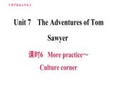 牛津 版九年級(jí)上冊(cè)英語(yǔ)課件 Unit7 課時(shí)6 More practice～Culture corner