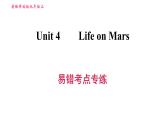 牛津译林版九年级上册英语课件 Unit4 易错考点专练课件