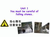 外研版（新標準）初中英語九年級下冊Module 4-Unit 1課件