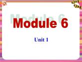 外研版（新标准）初中英语九年级下册Module 6-Unit 1课件
