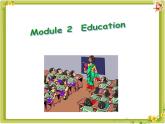 外研版（新标准）初中英语九年级下册Moudule2-Unit 2课件