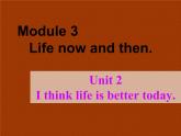 外研版（新标准）初中英语九年级下册Module 3-Unit 2课件