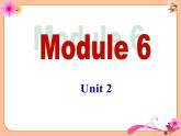 外研版（新標(biāo)準(zhǔn)）初中英語九年級下冊Module 6-Unit 2課件