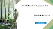 2021学年Section A备课课件ppt
