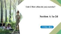 人教新目标 (Go for it) 版八年级上册Section A背景图ppt课件
