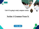 人教新目标八年级上册 Unit6 第二课时（SectionAGrammar Focus-3c  ） 课件
