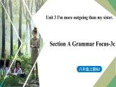 人教新目标八年级上册 Unit3第二课时（SectionAGrammar Focus-3c） 课件